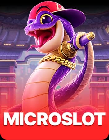 MicroSlot